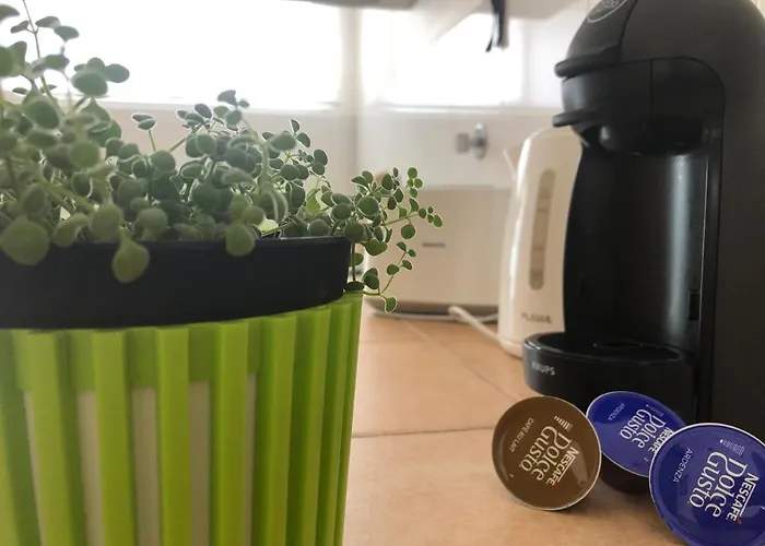 Hébergement de vacances House Ribeira Grande