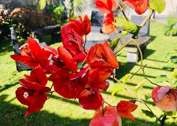 Hébergement de vacances House *