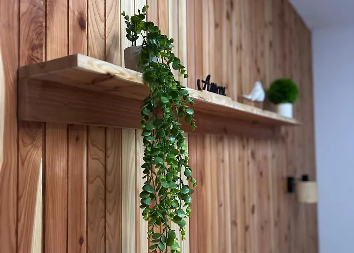 House * Ribeira Grande