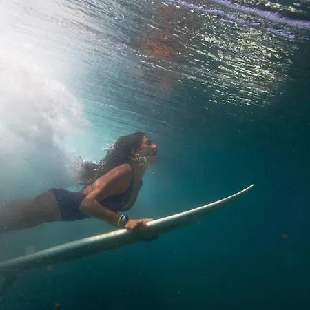 Vakantiehuis House *