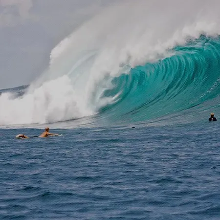 House Vakantiehuis *