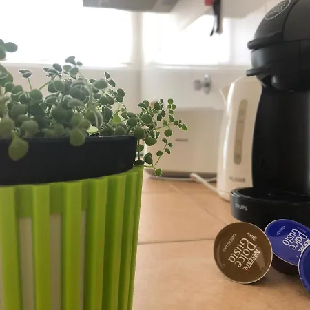 Vakantiehuis House Ribeira Grande