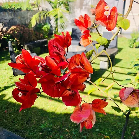 Vakantiehuis House *