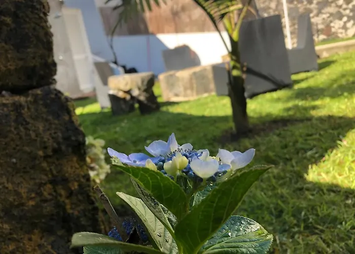 Σπίτι διακοπών House *