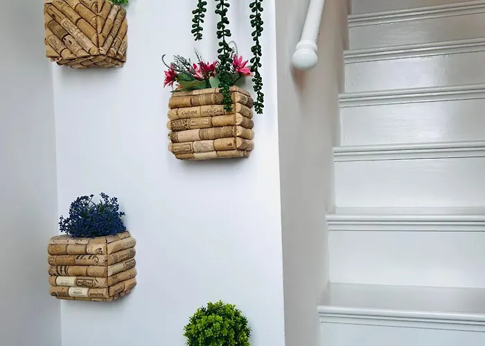 House * Ribeira Grande